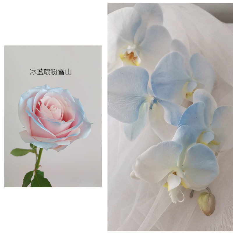 Espray del color de la perla de la flor de MSDS 350ml, espray de la pintura de la hojalata para las flores