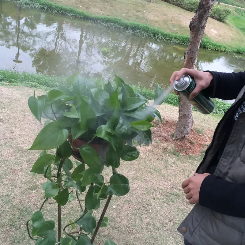 El brillo de la hoja de la hojalata de Multiscene rocía el color verde Eco de la botella amistoso